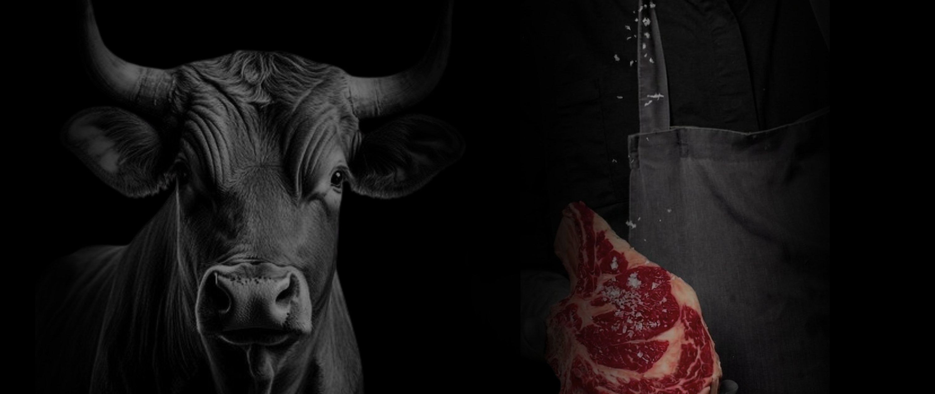 Cortes de carne premium — Todo Carnes